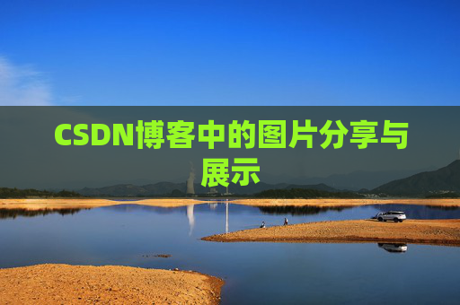 CSDN博客中的图片分享与展示